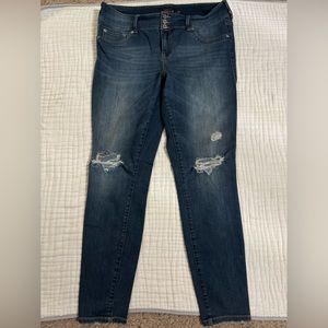 Torrid Jegging 16T